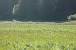 2009_0525_ 224