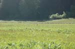 2009_0525_ 225