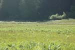 2009_0525_ 226