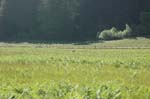 2009_0525_ 227