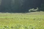 2009_0525_ 228