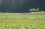 2009_0525_ 229