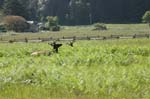 2009_0525_ 232