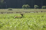 2009_0525_ 234