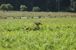 2009_0525_ 235