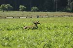 2009_0525_ 236
