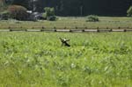2009_0525_ 237