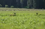 2009_0525_ 238