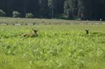 2009_0525_ 239