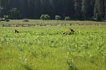 2009_0525_ 240