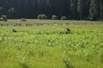 2009_0525_ 241