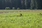 2009_0525_ 242