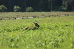 2009_0525_ 243