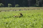 2009_0525_ 244