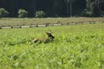 2009_0525_ 245