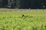 2009_0525_ 246