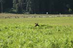 2009_0525_ 247