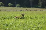 2009_0525_ 248