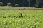 2009_0525_ 249
