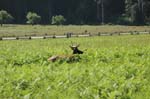 2009_0525_ 250