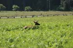2009_0525_ 251