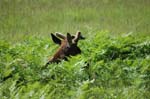 2009_0525_ 256