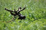 2009_0525_ 257