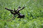 2009_0525_ 258