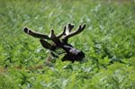 2009_0525_ 259