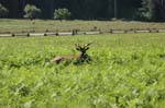 2009_0525_ 260
