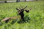 2009_0525_ 263