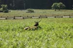 2009_0525_ 276