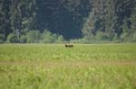 2009_0525_ 296