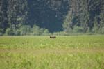 2009_0525_ 298