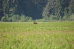 2009_0525_ 300