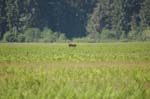 2009_0525_ 301