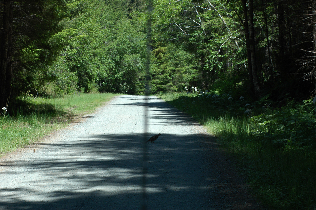 2009_0525_ 451