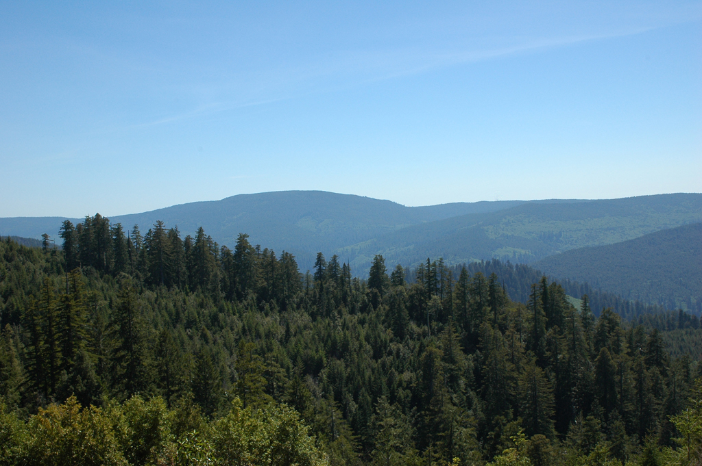 2009_0525_ 455