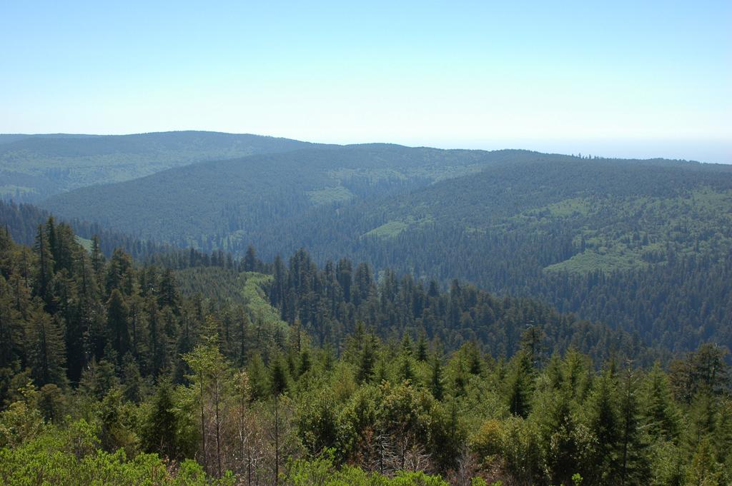 2009_0525_ 458