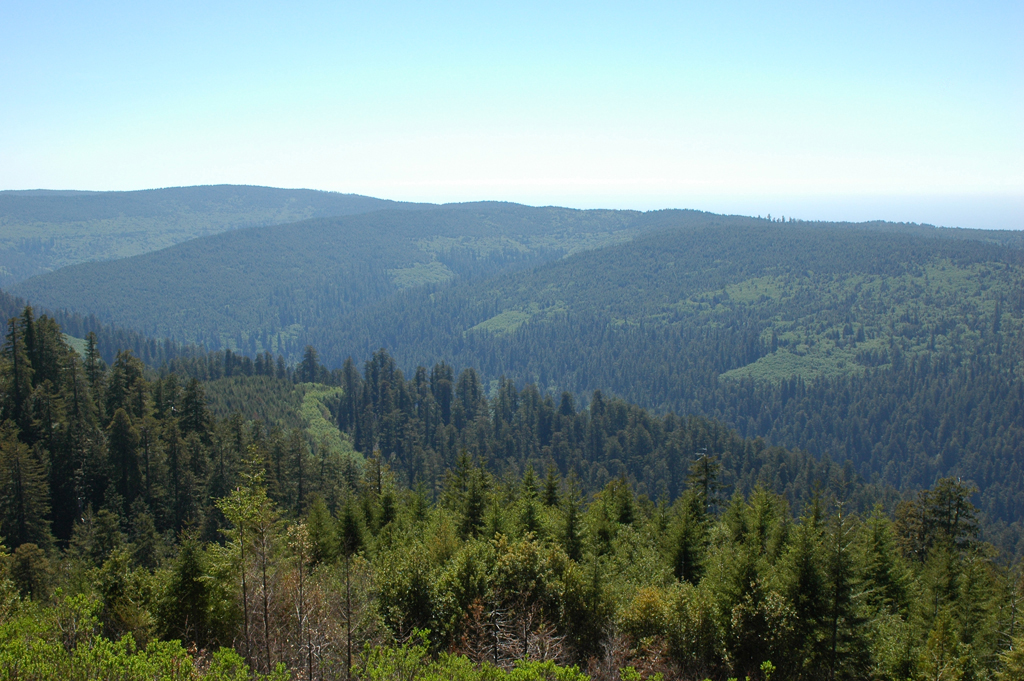 2009_0525_ 459