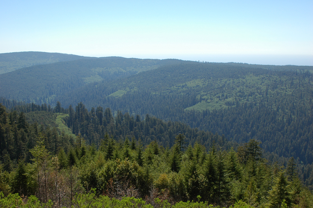 2009_0525_ 460