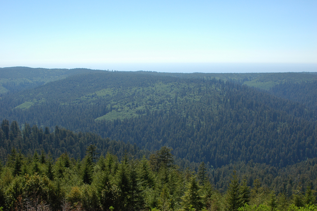 2009_0525_ 463