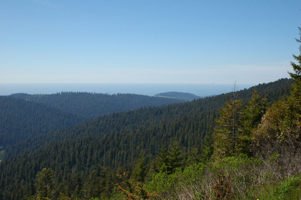 2009_0525_ 472