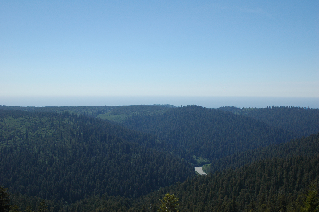 2009_0525_ 478