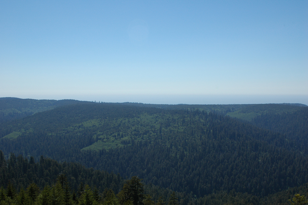 2009_0525_ 480