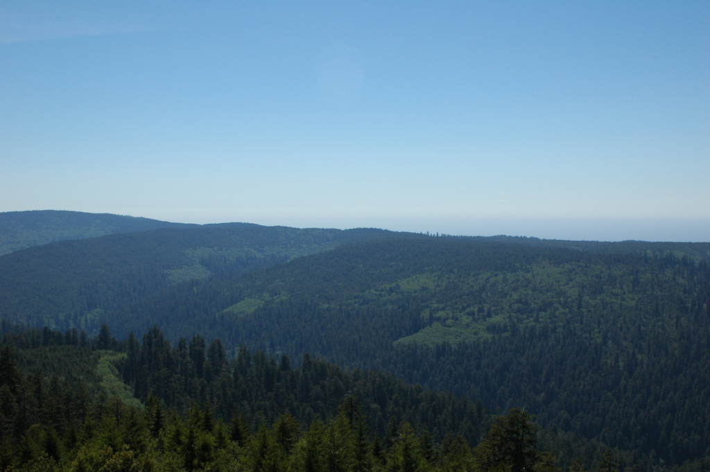 2009_0525_ 482