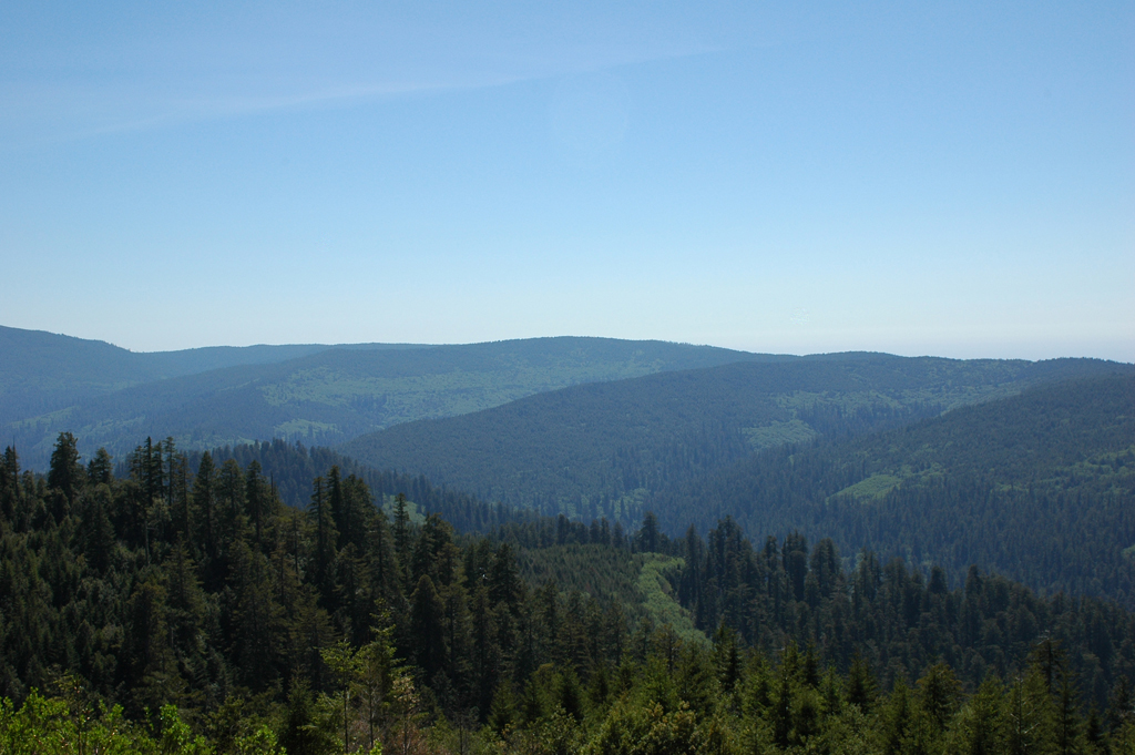 2009_0525_ 484