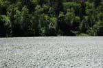2009_0525_ 440