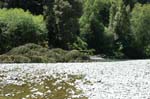 2009_0525_ 449