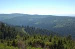 2009_0525_ 459